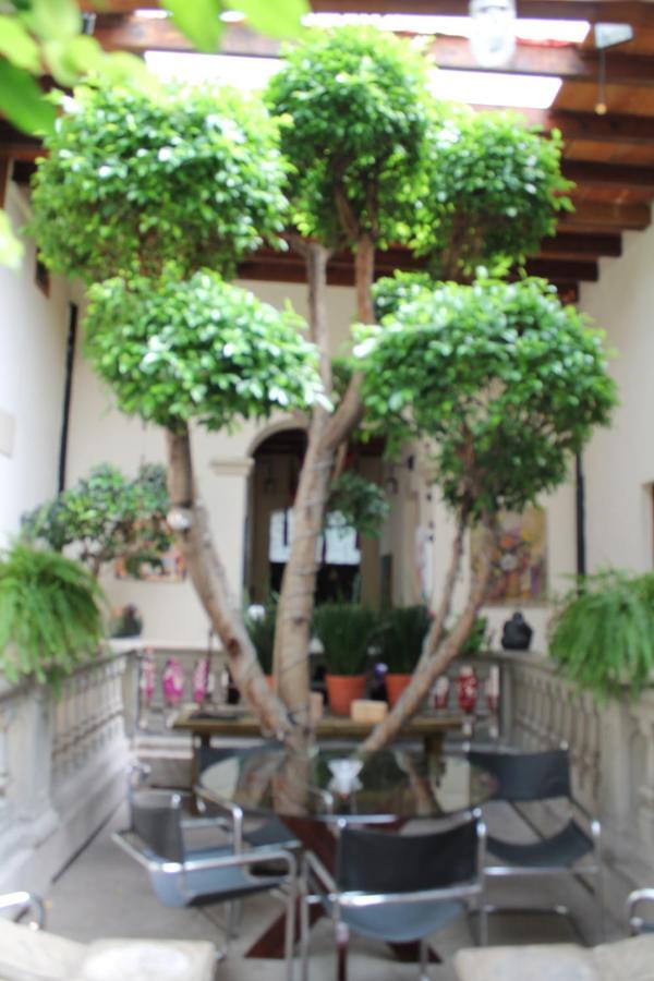 Guest House Aldama Mexiko-Stadt Exterior foto